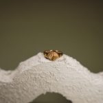 Seashell Ring - Image 12