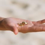 Seashell Ring - Image 11