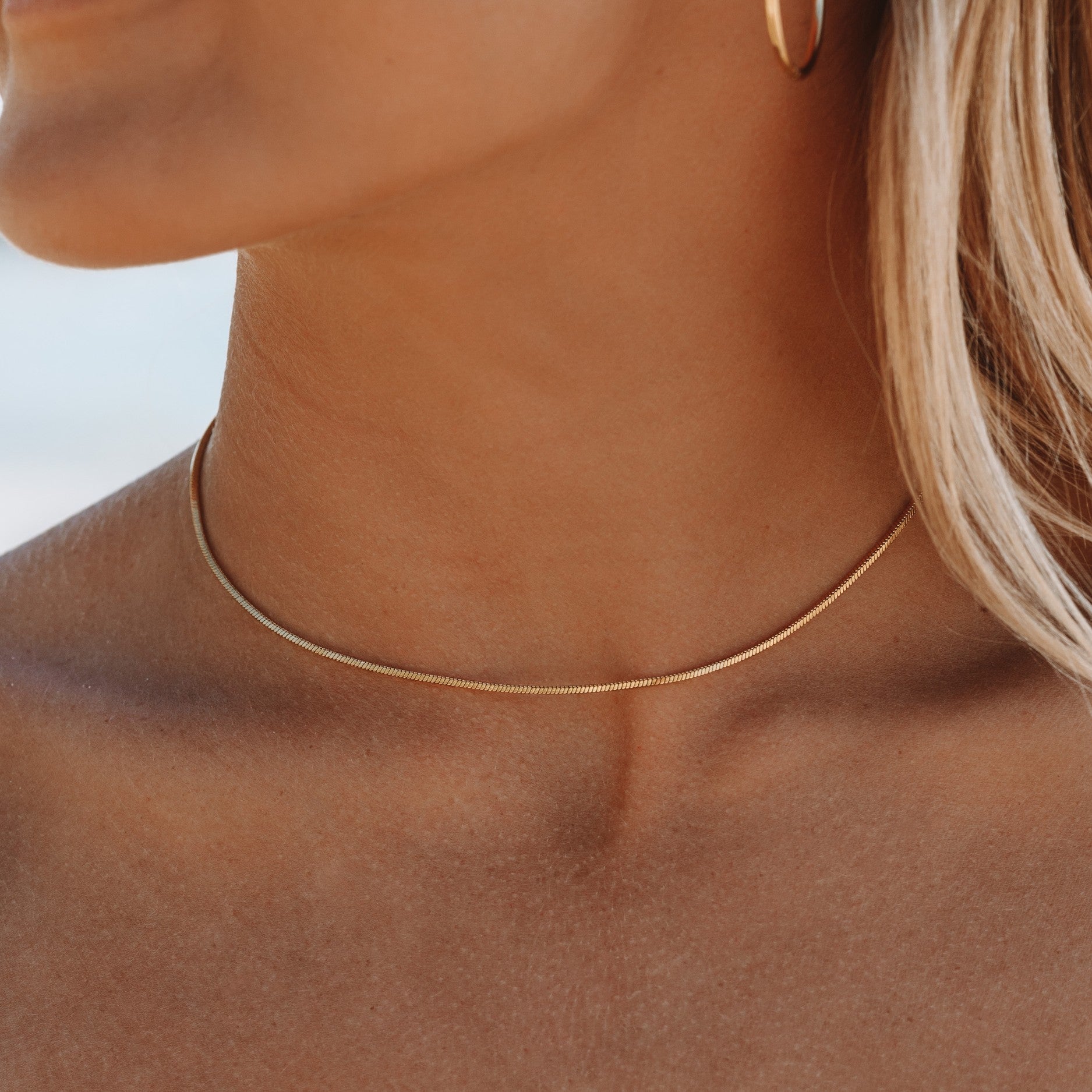 simple-choker-chain Fine Choker - Image 1
